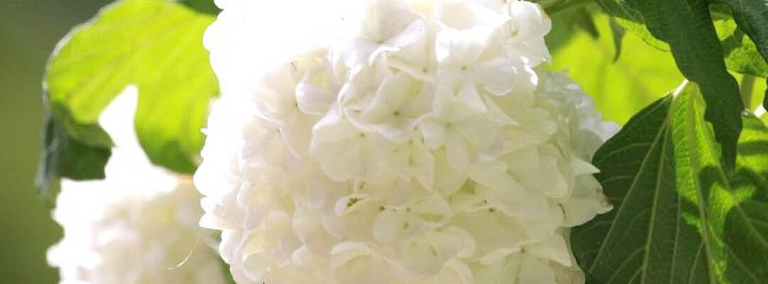 Klaar voor het tuinseizoen!