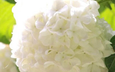 Klaar voor het tuinseizoen!